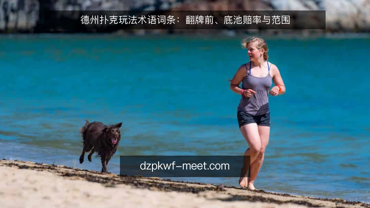 德州扑克玩法术语词条：翻牌前、底池赔率与范围