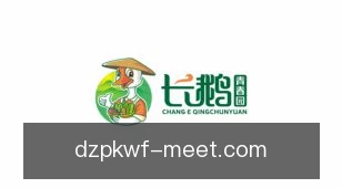 德州扑克玩法